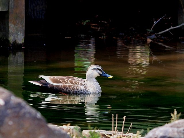 �J���K��2010/4/25