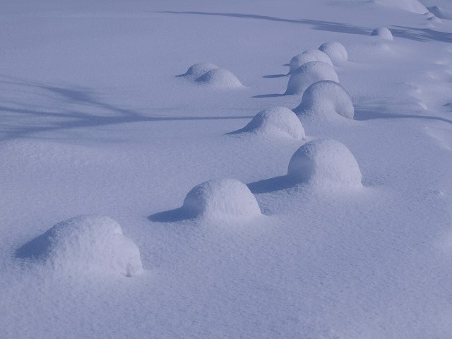 2011�N2��10��