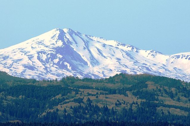 2010.05.10�]�������Y�ŎB�e