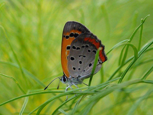 �x�j�V�W�~