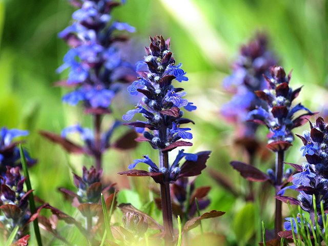 �A�W���K�A2010.05.10�B�e